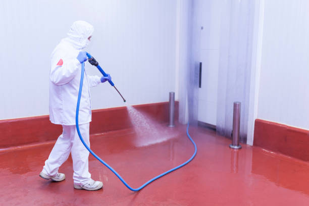 Pre-Holiday Cleaning in Cordry Sweetwater Lakes, IN